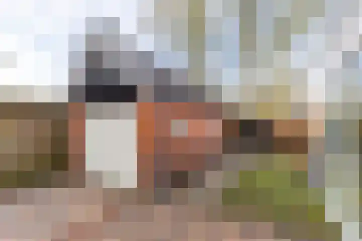 Skoalleane 8 Beetsterzwaag thumbnail 44