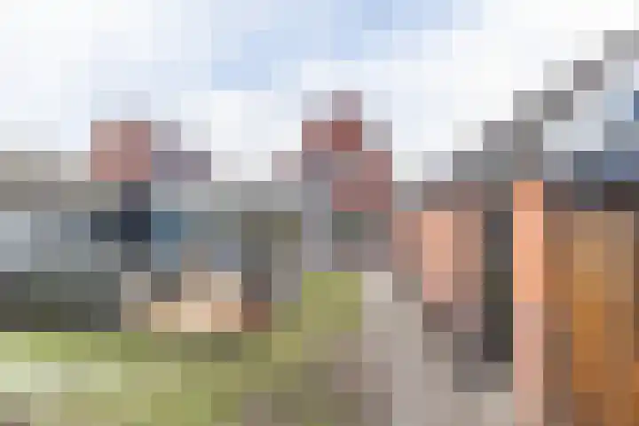 Skoalleane 8 Beetsterzwaag thumbnail 46
