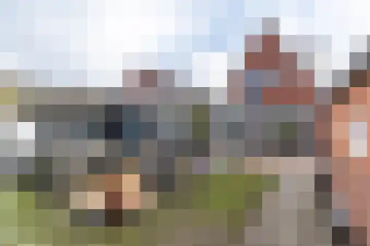 Skoalleane 8 Beetsterzwaag thumbnail 47