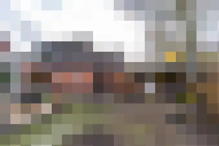 Skoalleane 8 Beetsterzwaag thumbnail 49