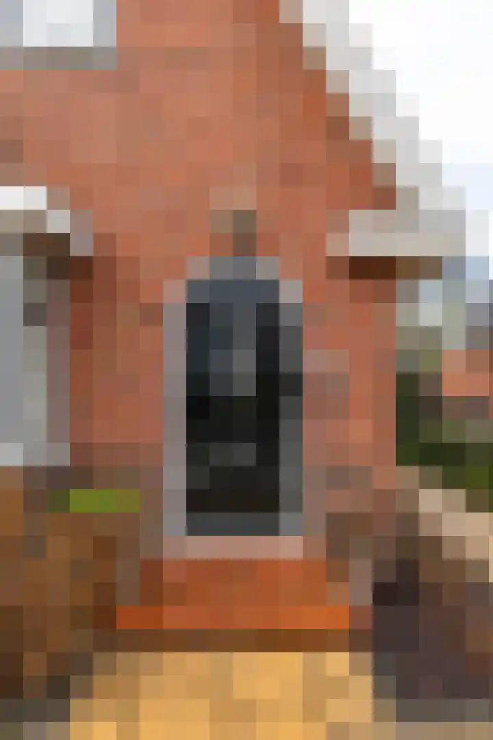 Skoalleane 8 Beetsterzwaag thumbnail 7