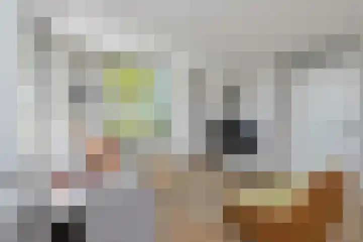Skoalledyk 20 Hempens thumbnail 11