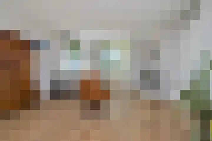 Skoalledyk 20 Hempens thumbnail 12
