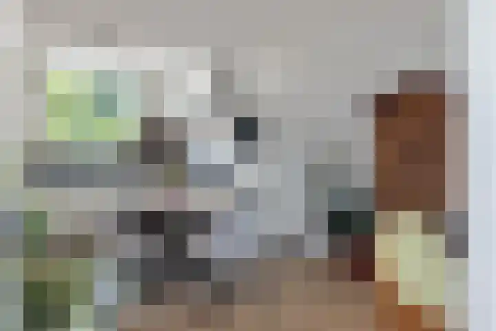 Skoalledyk 20 Hempens thumbnail 13