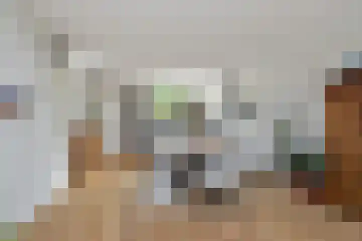 Skoalledyk 20 Hempens thumbnail 16