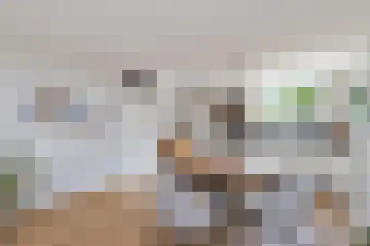 Skoalledyk 20 Hempens thumbnail 17