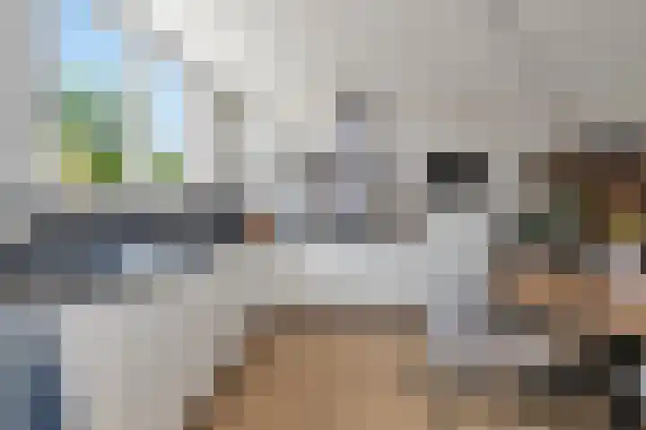 Skoalledyk 20 Hempens thumbnail 18