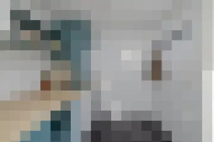 Skoalledyk 20 Hempens thumbnail 23