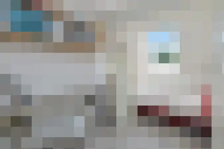 Skoalledyk 20 Hempens thumbnail 30