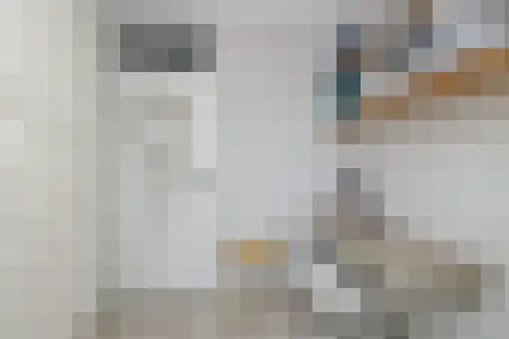 Skoalledyk 20 Hempens thumbnail 31