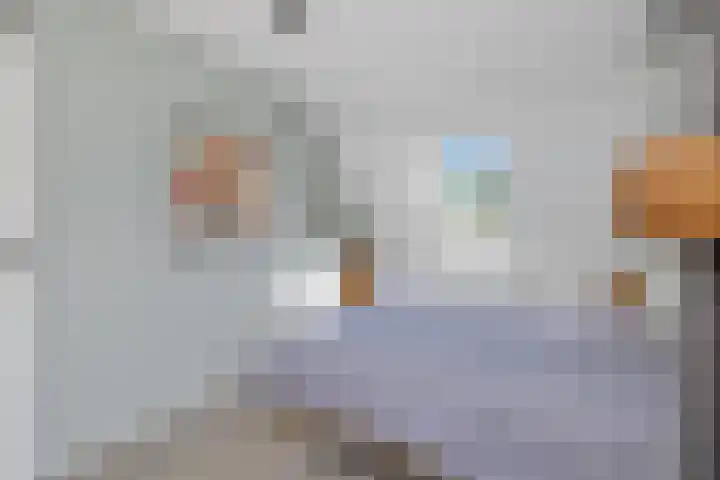 Skoalledyk 20 Hempens thumbnail 34