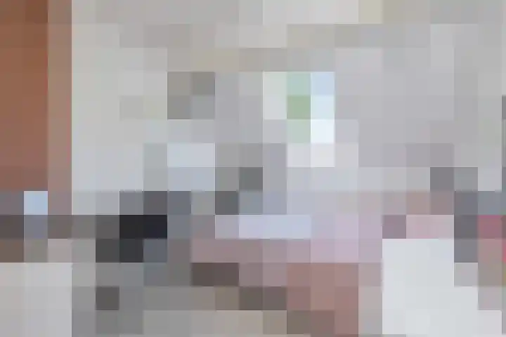 Skoalledyk 20 Hempens thumbnail 36