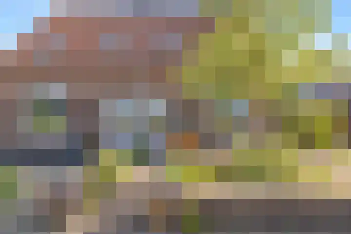 Skoalledyk 20 Hempens thumbnail 4