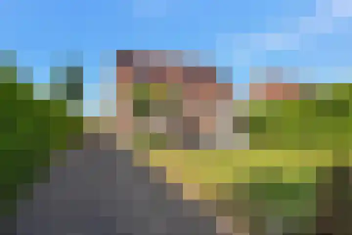 Skoalledyk 20 Hempens thumbnail 41