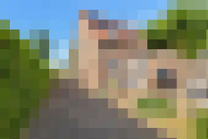 Skoalledyk 20 Hempens thumbnail 46