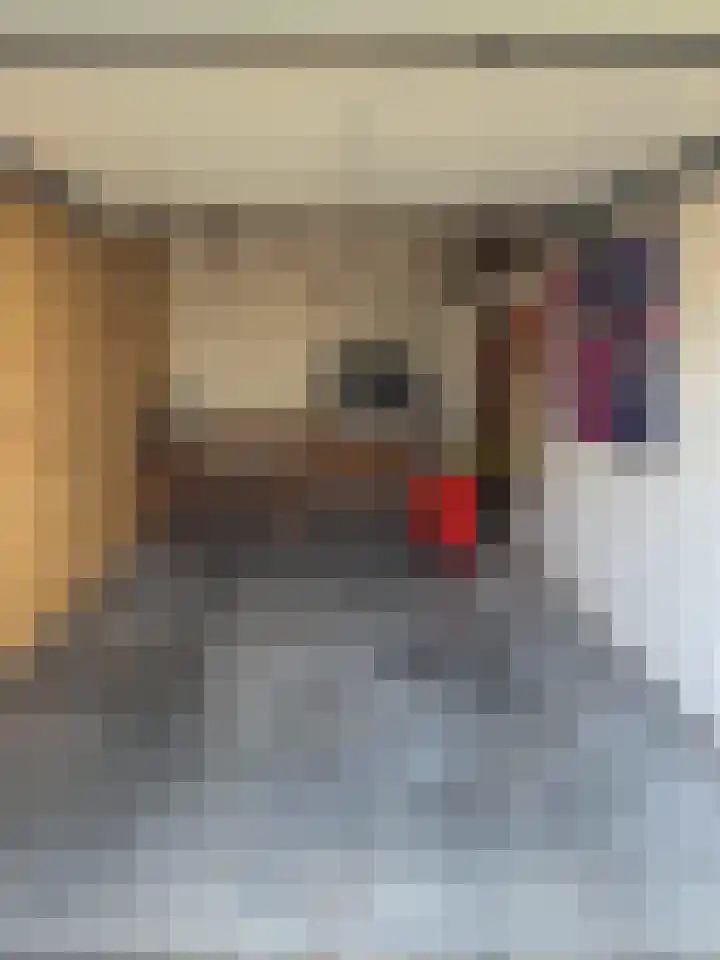 Skoalledyk 20 Hempens thumbnail 49