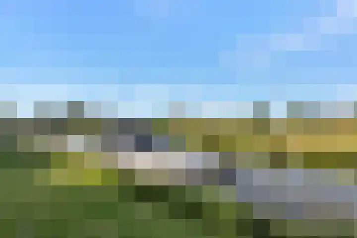Skoalledyk 20 Hempens thumbnail 5