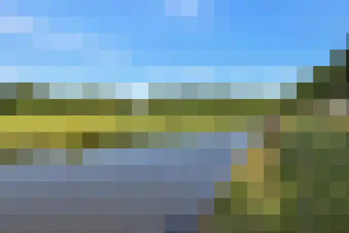 Skoalledyk 20 Hempens thumbnail 50