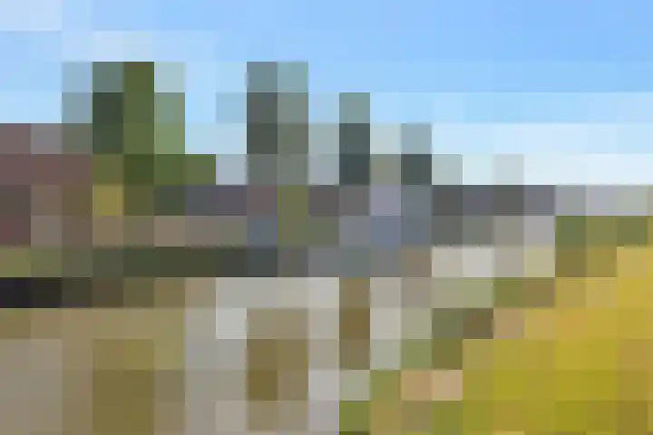Skoalledyk 20 Hempens thumbnail 51