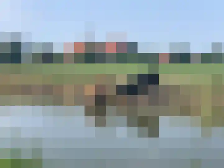Skoalledyk 20 Hempens thumbnail 8