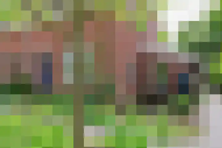 Skoalledyk 34 Hempens thumbnail 10