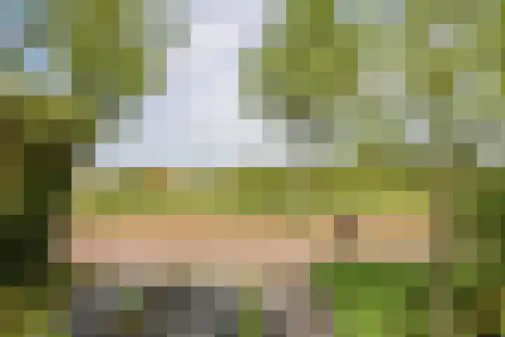 Skoalledyk 34 Hempens thumbnail 12