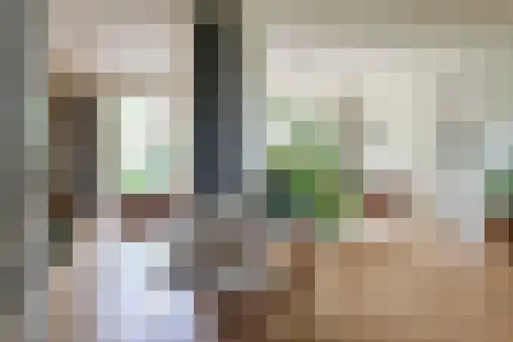 Skoalledyk 34 Hempens thumbnail 15