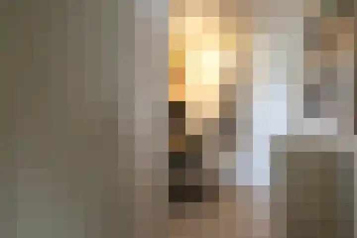 Skoalledyk 34 Hempens thumbnail 47