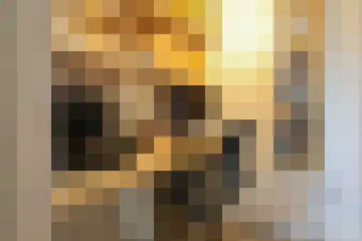 Skoalledyk 34 Hempens thumbnail 48