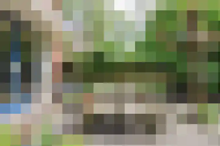 Skoalledyk 34 Hempens thumbnail 63