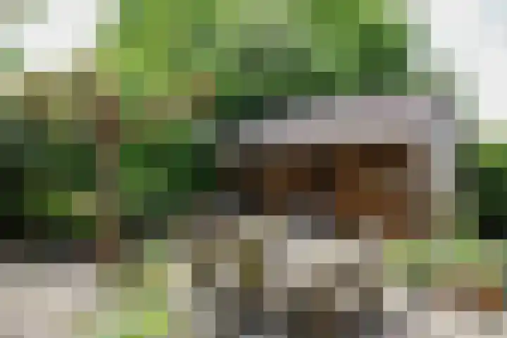 Skoalledyk 34 Hempens thumbnail 68