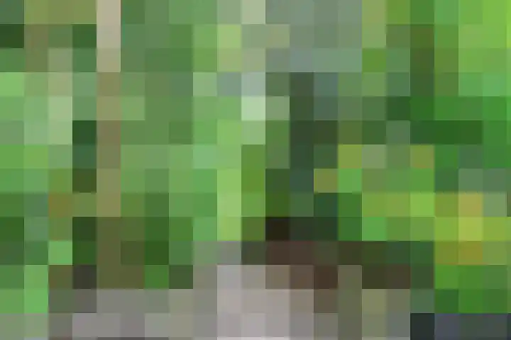 Skoalledyk 34 Hempens thumbnail 71