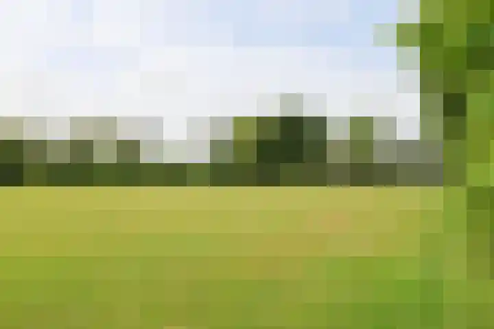 Skoalledyk 34 Hempens thumbnail 73