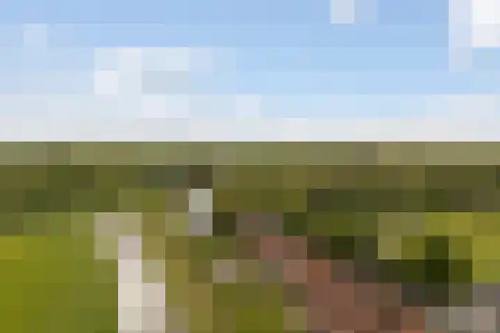 Skoalledyk 34 Hempens thumbnail 76
