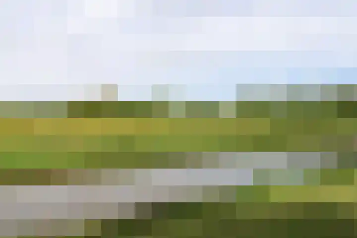 Skoalledyk 34 Hempens thumbnail 78