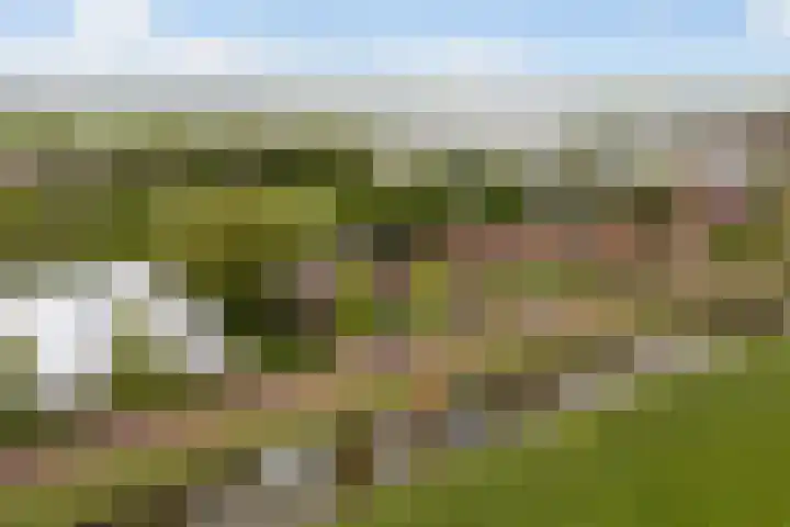 Skoalledyk 34 Hempens thumbnail 85