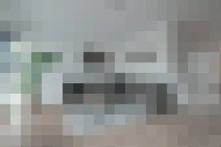 Skoallepaad 8 Drogeham thumbnail 11