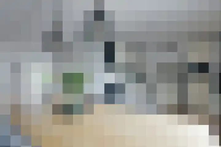Skoallepaad 8 Drogeham thumbnail 15