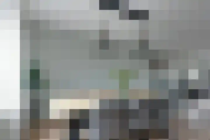 Skoallepaad 8 Drogeham thumbnail 16