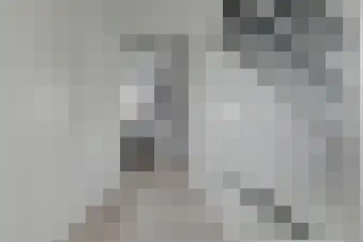 Skoallepaad 8 Drogeham thumbnail 21