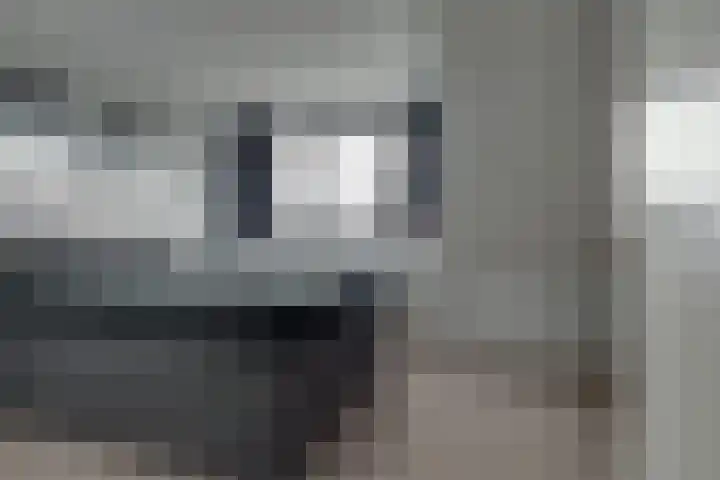 Skoallepaad 8 Drogeham thumbnail 22