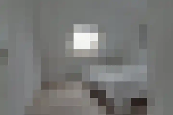 Skoallepaad 8 Drogeham thumbnail 27