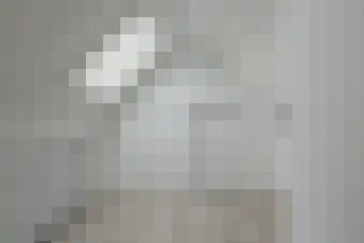 Skoallepaad 8 Drogeham thumbnail 36