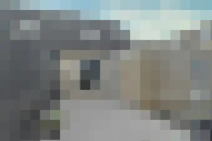 Skoallepaad 8 Drogeham thumbnail 42