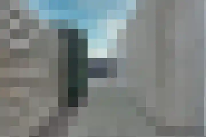 Skoallepaad 8 Drogeham thumbnail 44