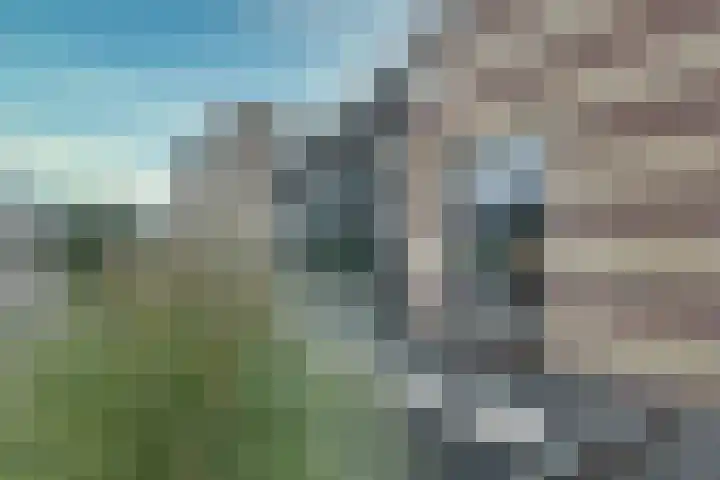 Skoallepaad 8 Drogeham thumbnail 47