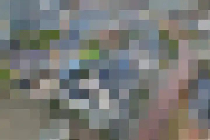 Skoallepaad 8 Drogeham thumbnail 51