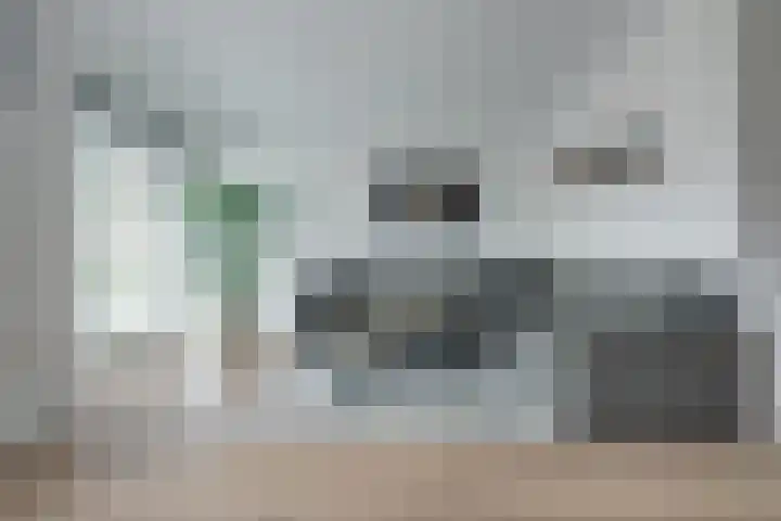 Skoallepaad 8 Drogeham thumbnail 9