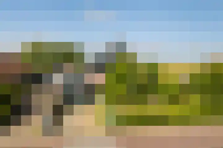 Skoallereed 1 Moddergat thumbnail 10