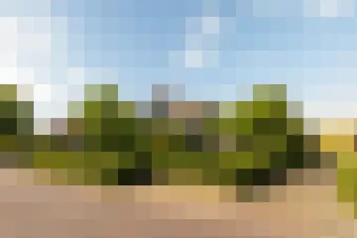 Skoallereed 1 Moddergat thumbnail 11